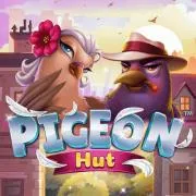 Pigeon hut