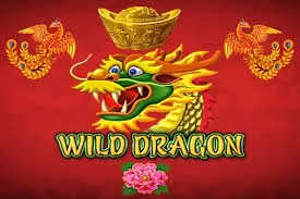 Wild Dragon
