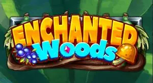 Enchanted Woods