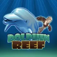Dolphin Reef