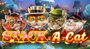 Stack A Cat
