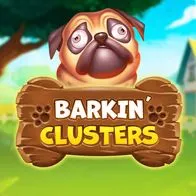 Barkin Cluster