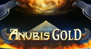 Anubis gold