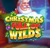 A Christmas Full of Wilds