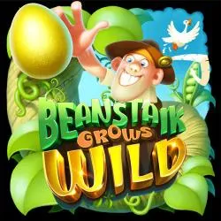 Beanstalk Grows Wild