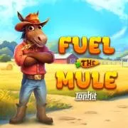 Fuel The Mule