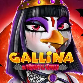 Gallina in Transilvania