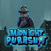 Midnight purrsuit