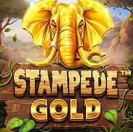 Stampede Gold
