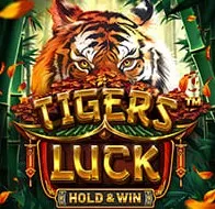 Tiger's Luck