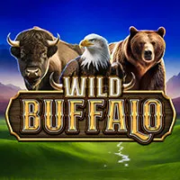 Wild Buffalo