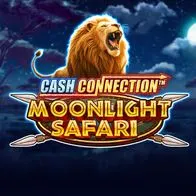 Cash Connection Moonlight Safari