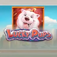 Lucky Pups