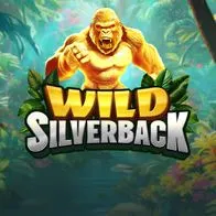 Wild Silverback