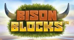 Bison Blocks