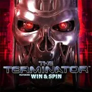 The terminator Win & spin