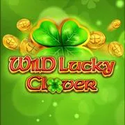 Wild lucky clover