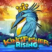 King Fisher Rising