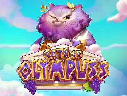 Cats of Olympuss