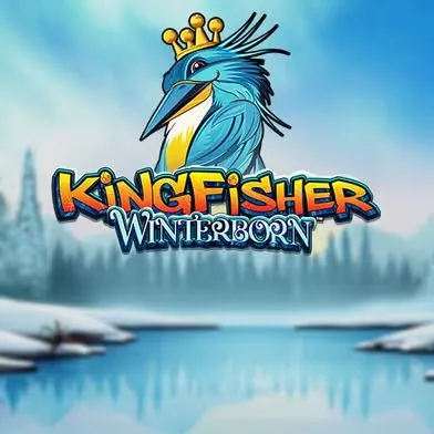Kingfisher Winterborn