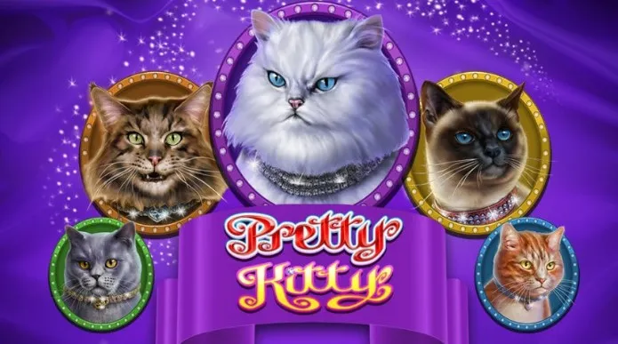 Pretty kitty