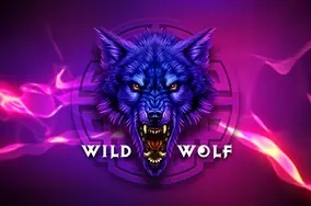 Wild wolf