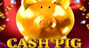 Cash pig