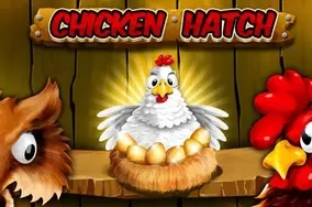 Chicken hatch