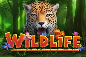 Wildlife