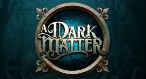 A dark matter