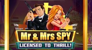Mr and mrs spy