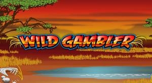 Wild Gambler