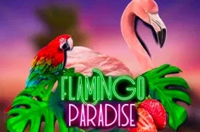 Flamingo paradise