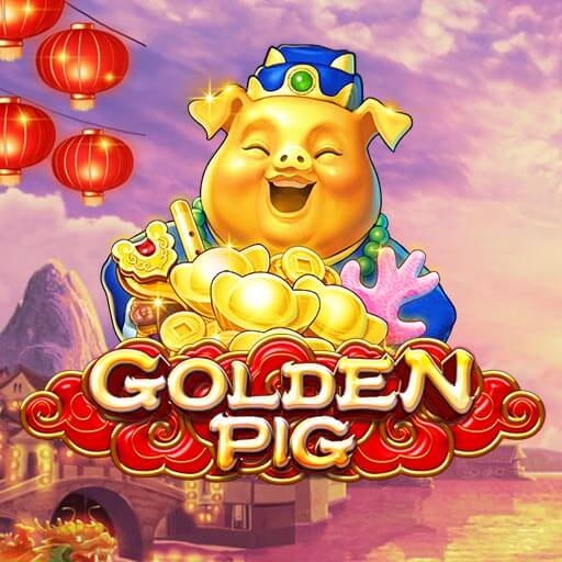 Golden pig