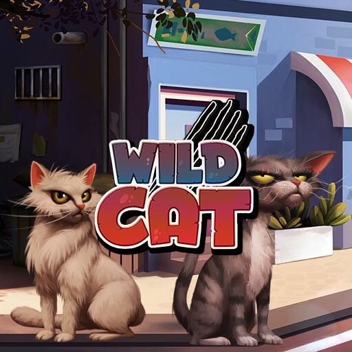 Wild cat
