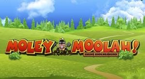 Moley Moolah