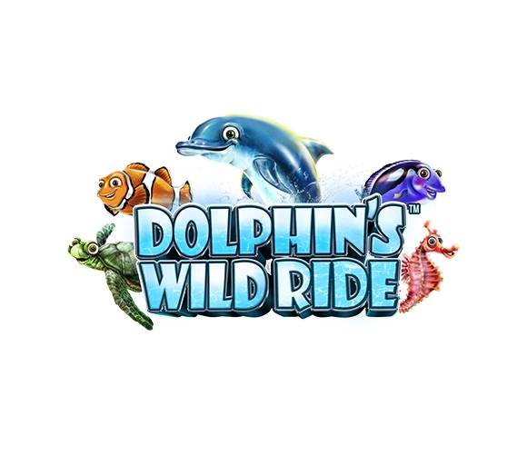 Dolphins wild ride