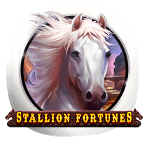 Stallion Fortunes