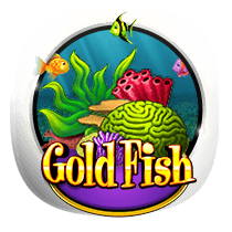 Gold Fish