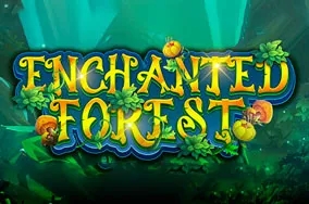 Enchanted Forest