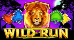 Wild run