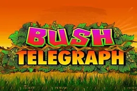 Bush Telegraph
