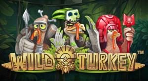 Wild turkey