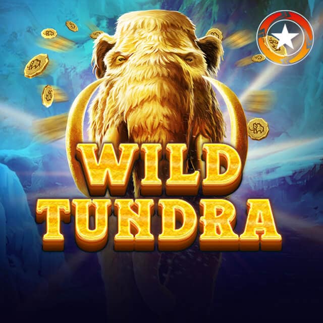 Wild tundra