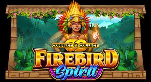 Firebird Spirit Connect and Collect