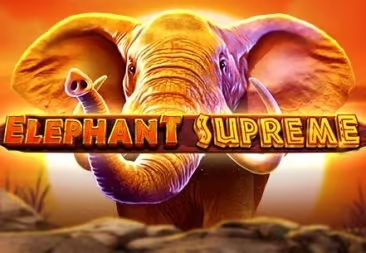 Elephant supreme