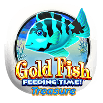 Gold Fish Feeding Time