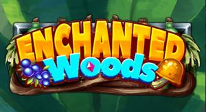 Enchanted Woods