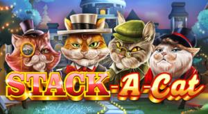 Stack A Cat