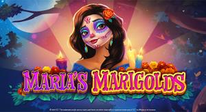 Maria's Marygolds